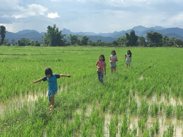 The Seed of Hope's very own rice paddy!
